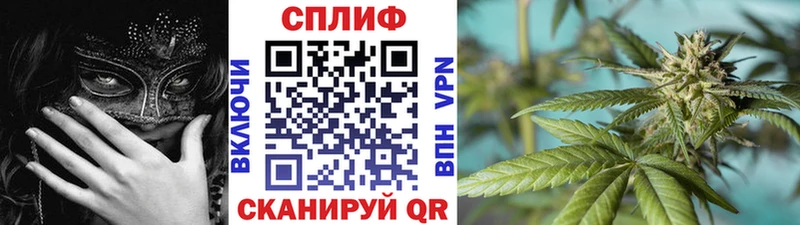 Какие есть наркотики Туран АМФЕТАМИН МЕФ ГАШИШ Канабис А ПВП