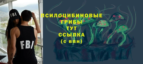 ПСИЛОЦИБИНОВЫЕ ГРИБЫ Абдулино