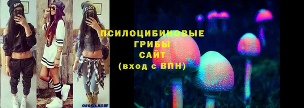 2c-b Абаза