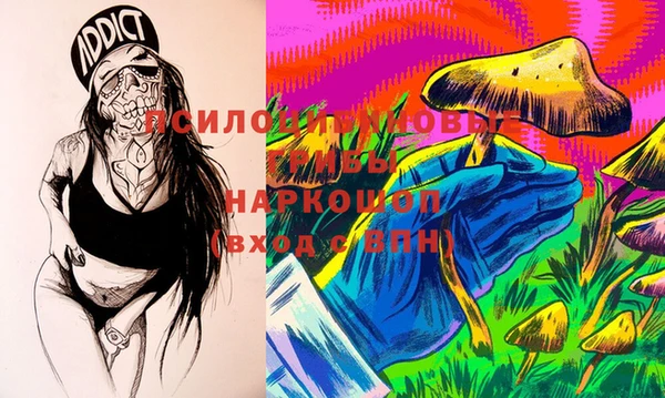 ПСИЛОЦИБИНОВЫЕ ГРИБЫ Абдулино